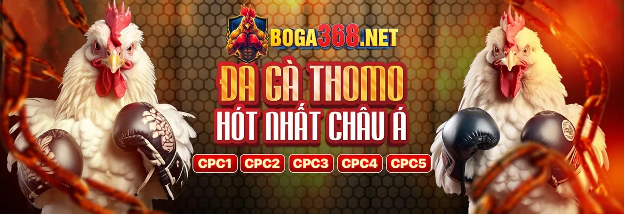 Đá gà trực tuyến gg88kjc