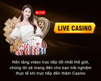 Đặt cược đá gà