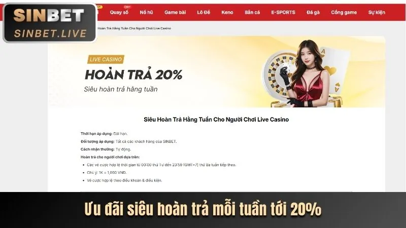 Chương trình VIP và đặc quyền